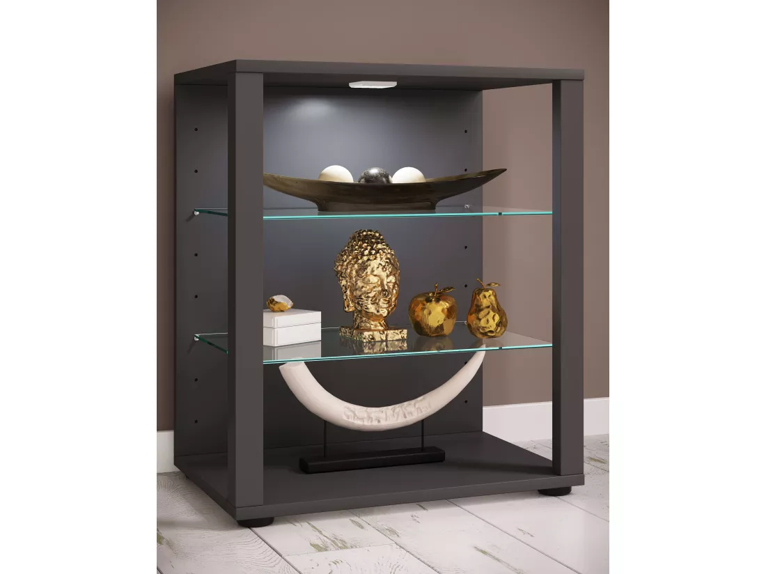 Bois Verre Stand Vitrine Glasol S
