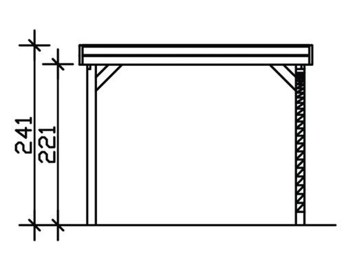 SKAN HOLZ Friesland enkele carport met inrijboog en H-paalankers 314x555 cm geïmpregneerd