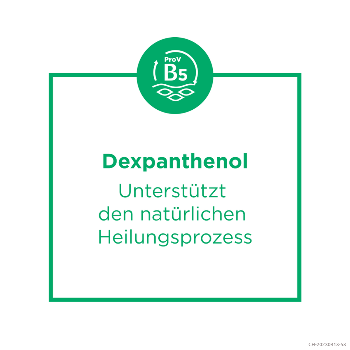 BEPANTHEN Bepanthen MED Nasensalbe 50 mg/g 2 Tb 5 g
