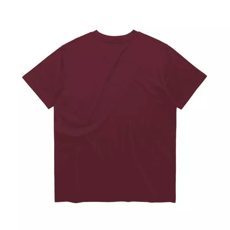 Tee shirt MYSTIC Icon Tee Men Red Wine