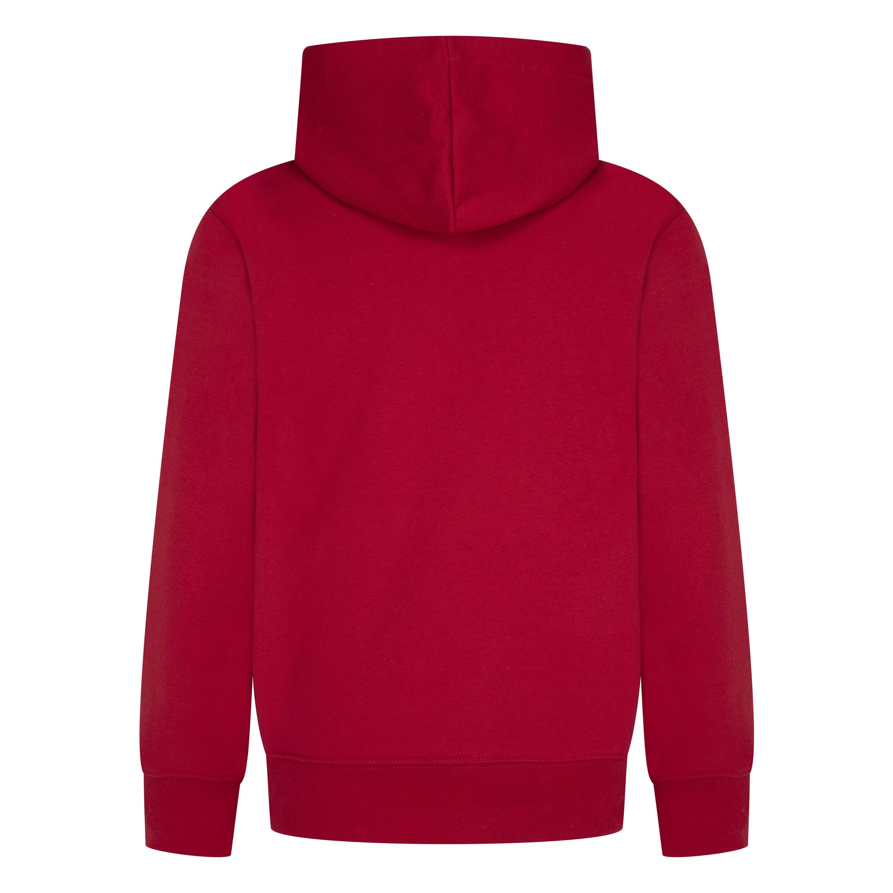 Air Jordan Logo 23 Hoodie Juniors
