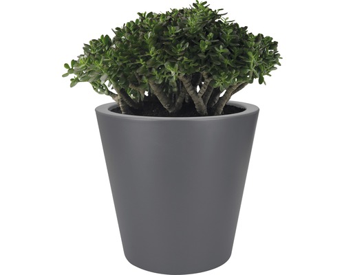 elho Pure rechte ronde kunststof plantenpot Ø 50 H 51 cm antraciet