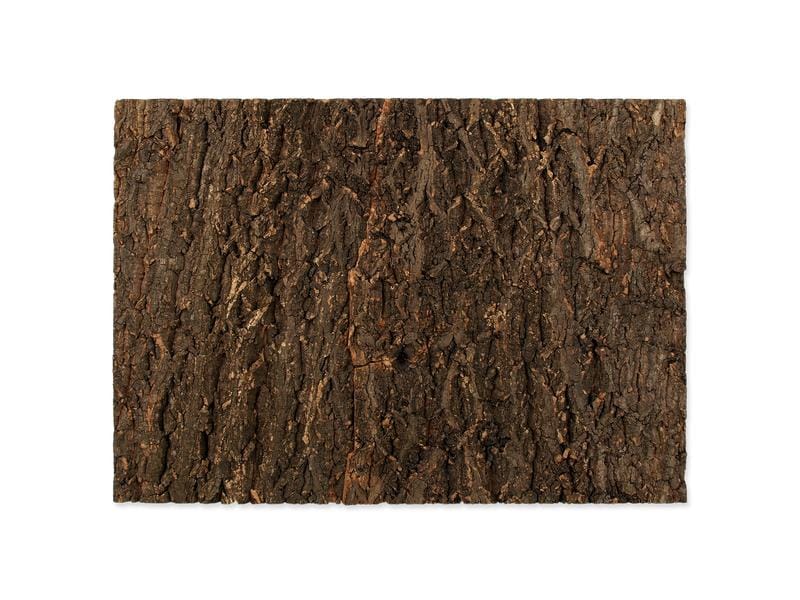 Repti Planet Kork-Rück Wand 58.5 x 41 x 2 cm Terrarienrückwand aus Kork