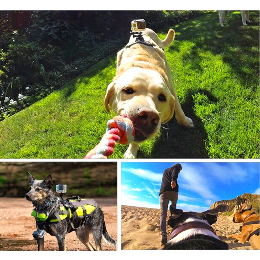 Dual Hundegeschirr Brust Gurt Kamerahalterung für GoPro Hero Kameras - Schwarz