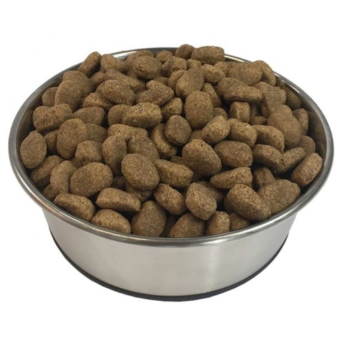 Ração Essence para cães adultos, sabor Cordeiro e Arroz