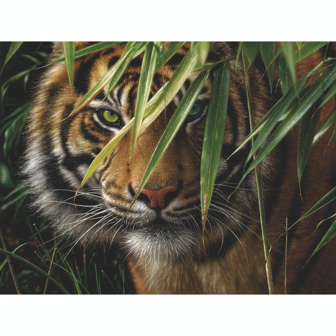 Tiger, Malen nach Zahlen Set