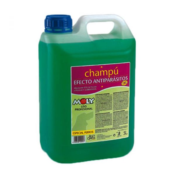 Moly Shampoo Menta Fresh 5lts