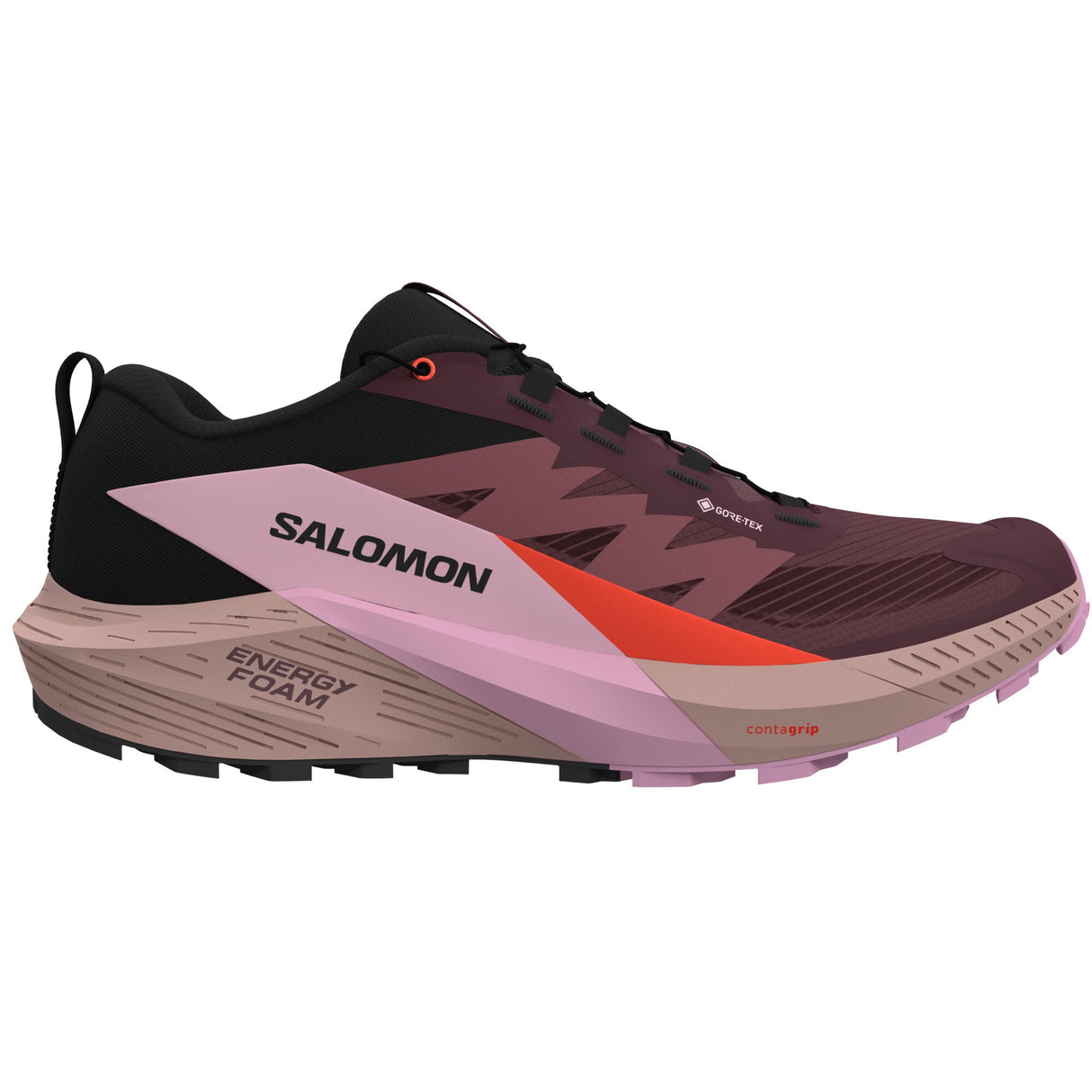 Salomon<br>Sense Ride 5 GTX W