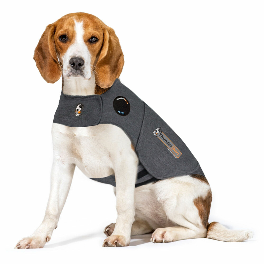Thundershirt Hond Small >6 - 11 kg