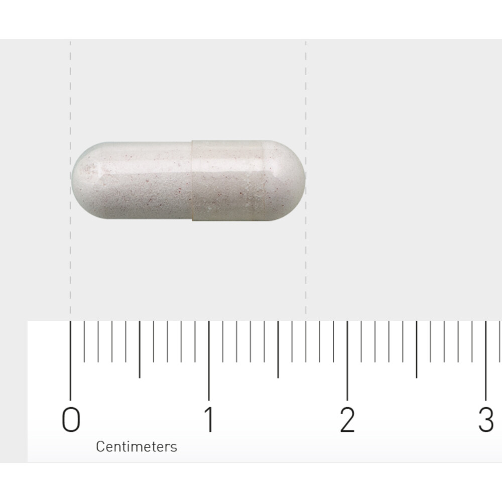 AOV 250 Vitamine B12 & Foliumzuur (800 mcg)60 vegacapsules