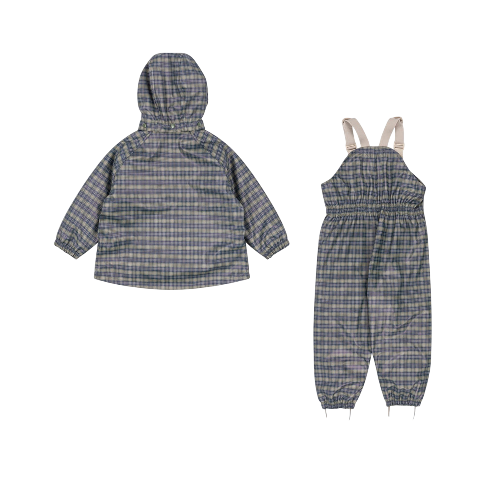 Regenset Palme Laurel Blue Check