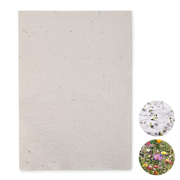 GiftRetail MO6914 - ASIDI Papier A4 graines de fleurs