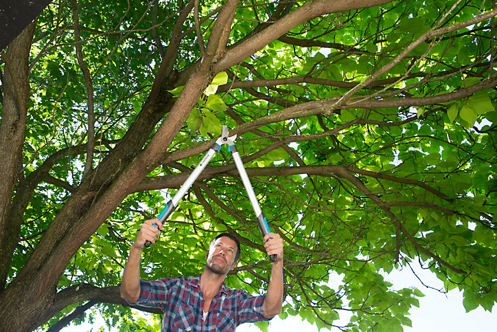 Coupe-branches EasyCut 680B Gardena