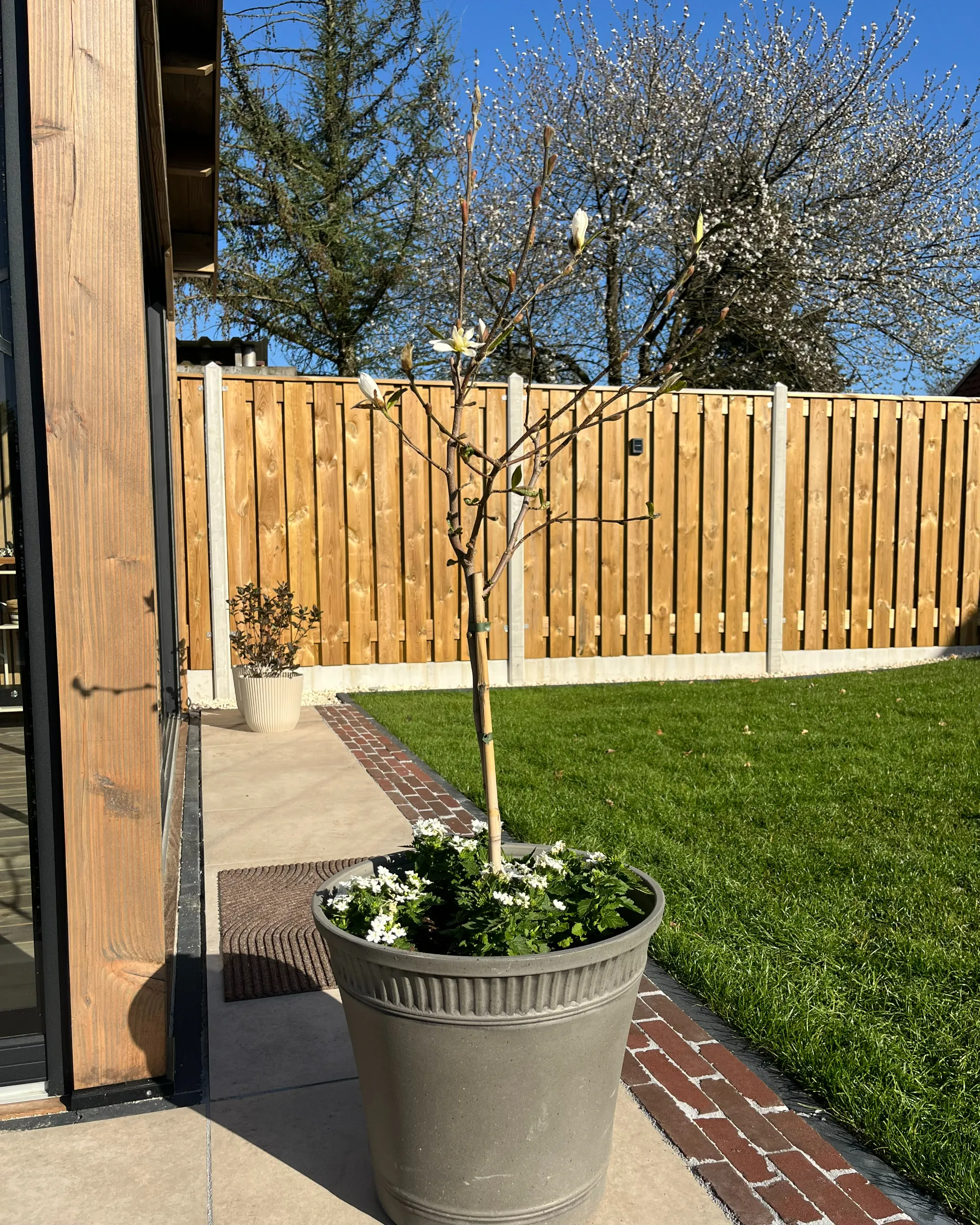 Bloempot CISTUS 44 cm Grijs