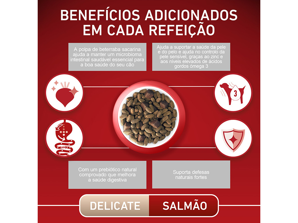 RAÇÃO PARA CÃO PURINA ONE MINI DELICATE 1.5KG