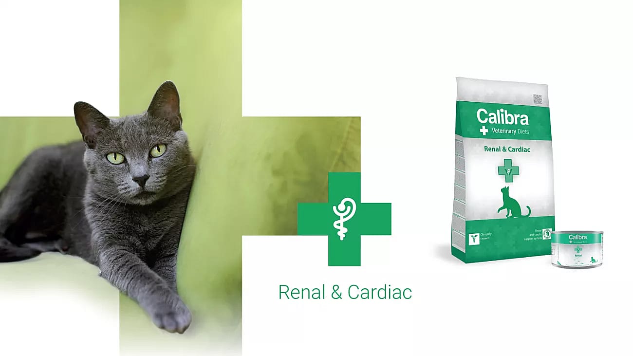 Calibra Cat Veterinary Diets Renal 6 x 200 gram