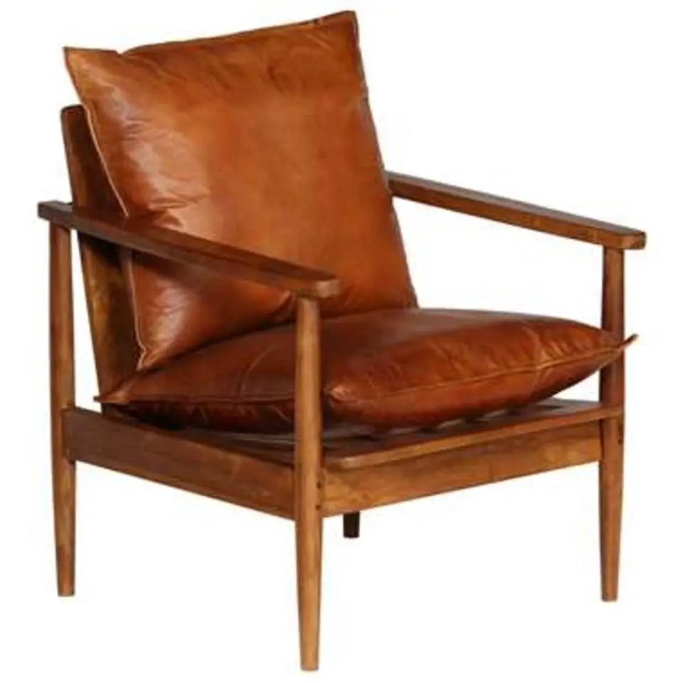 vidaXL - Fauteuil - Bruin - Leer