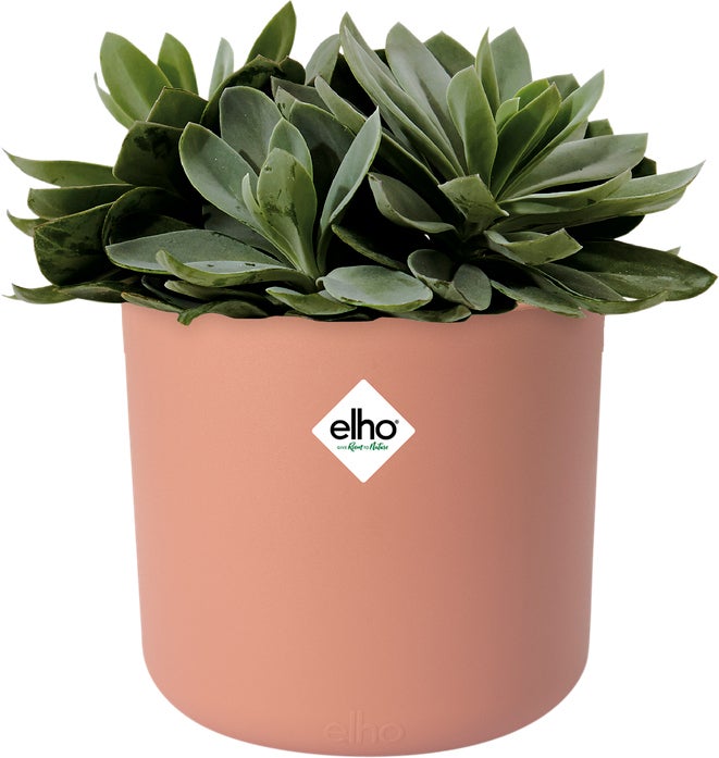Elho bloempot B. for soft roze D 16 H 15 cm
