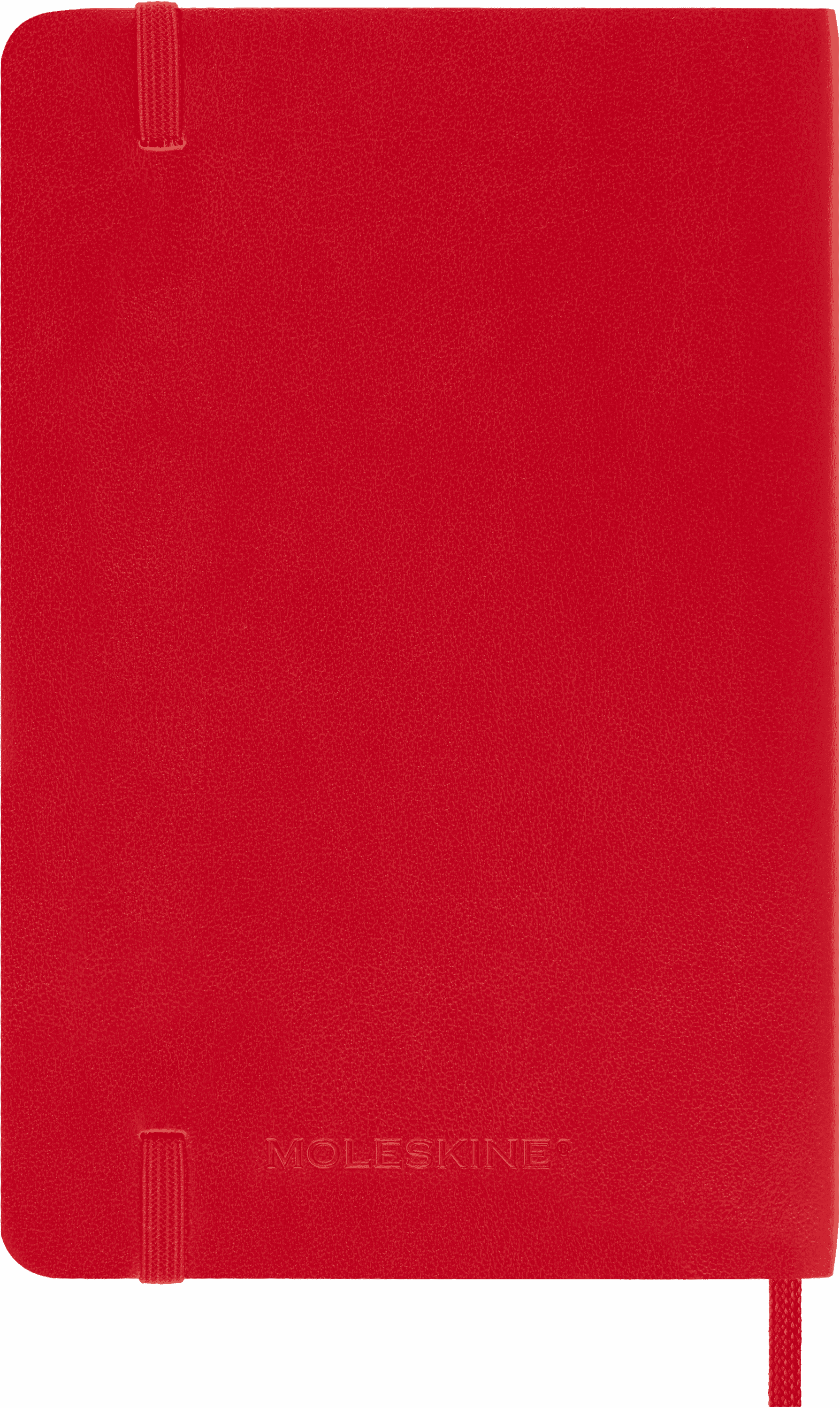 Classic Planner 2025 Pocket Daily, soft cover, 12 months