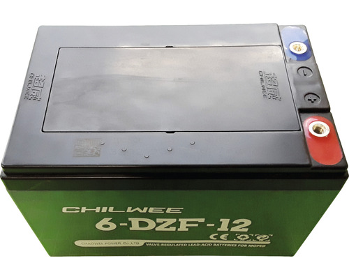 Vervangende 12V-accu voor ZI-EWB500