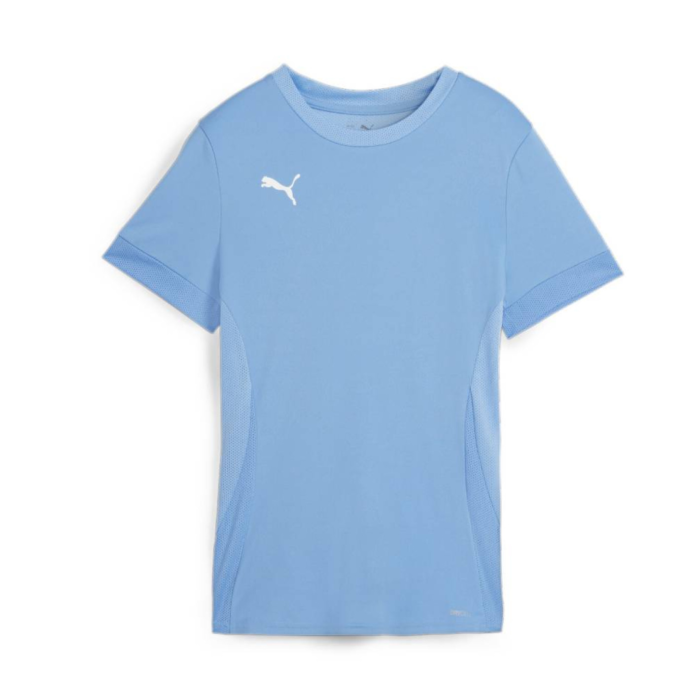 PUMA teamGOAL Voetbalshirt Dames Lichtblauw Wit