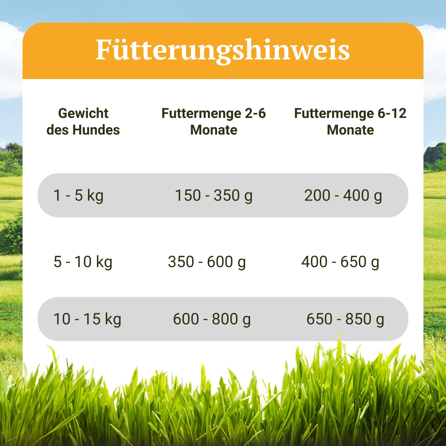 Bellfor Hypoallergenes Hundefutter Nass mit Insekten für Welpen - Landgut-Menü Junior