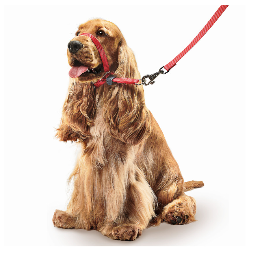 Coleira de treinamento Beaphar Gentle Leader vermelha para cães
