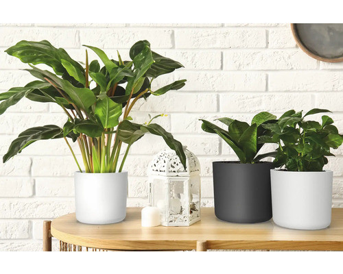 Lora bloempot Ø 34,5 cm H 32 cm kunststof wit