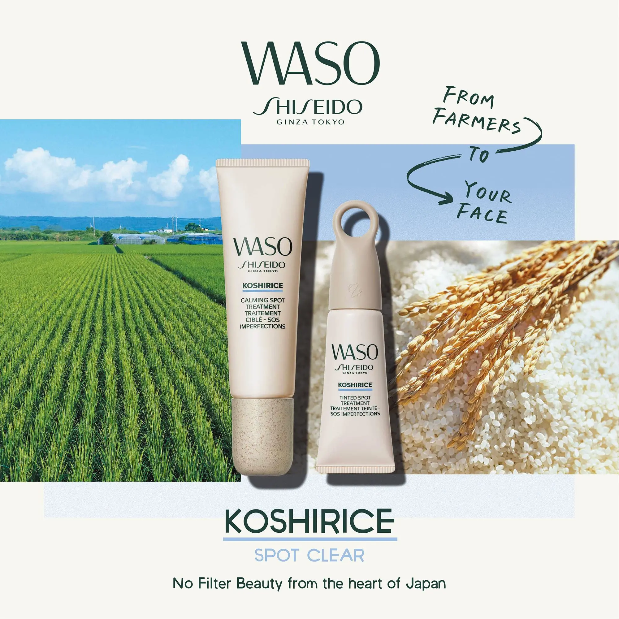 Shiseido - WASO Traitement Teinté- Detox et peau parfaite