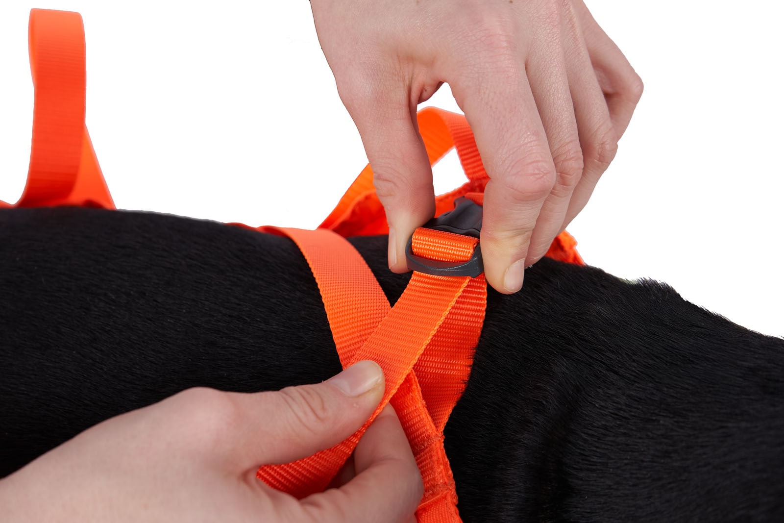 Non-Stop Dogwear Dog rescue sling<br>Lett, rask og pålitelig – når hunden trenger deg mest!