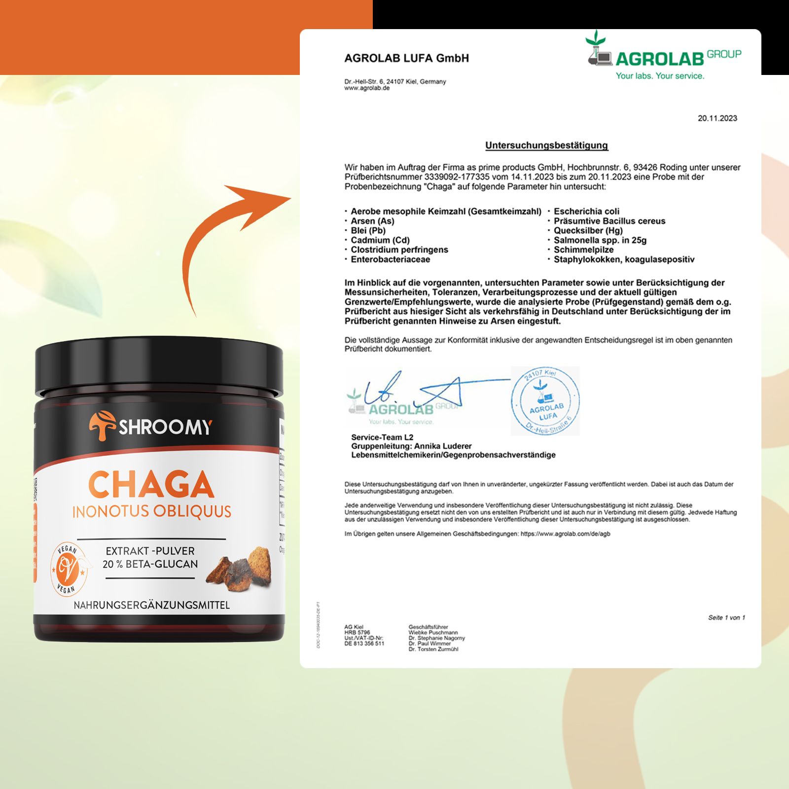 SHROOMY Chaga Extrakt Pulver