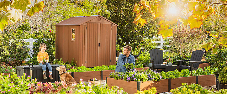 Abri de jardin + plancher Keter Darwin 68 en résine coloris marron ép.16 mm surface extérieure 4,14 m²