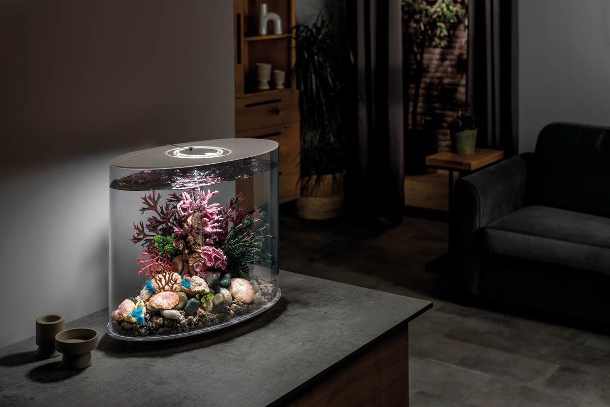 BiOrb LOOP 30 MCR Wit | Aquarium van klein formaat