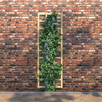 Trellisscherm ca. 180 x 60 cm