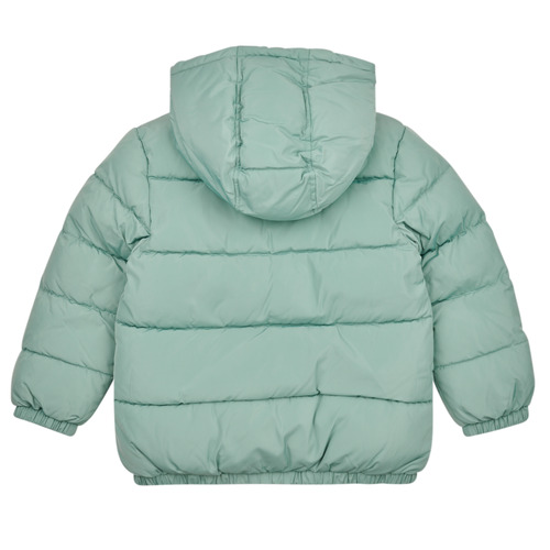 Petit Bateau - LOKYO - Vert