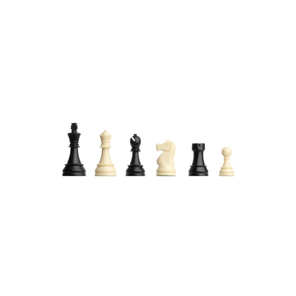 DGT Chess Starter Box