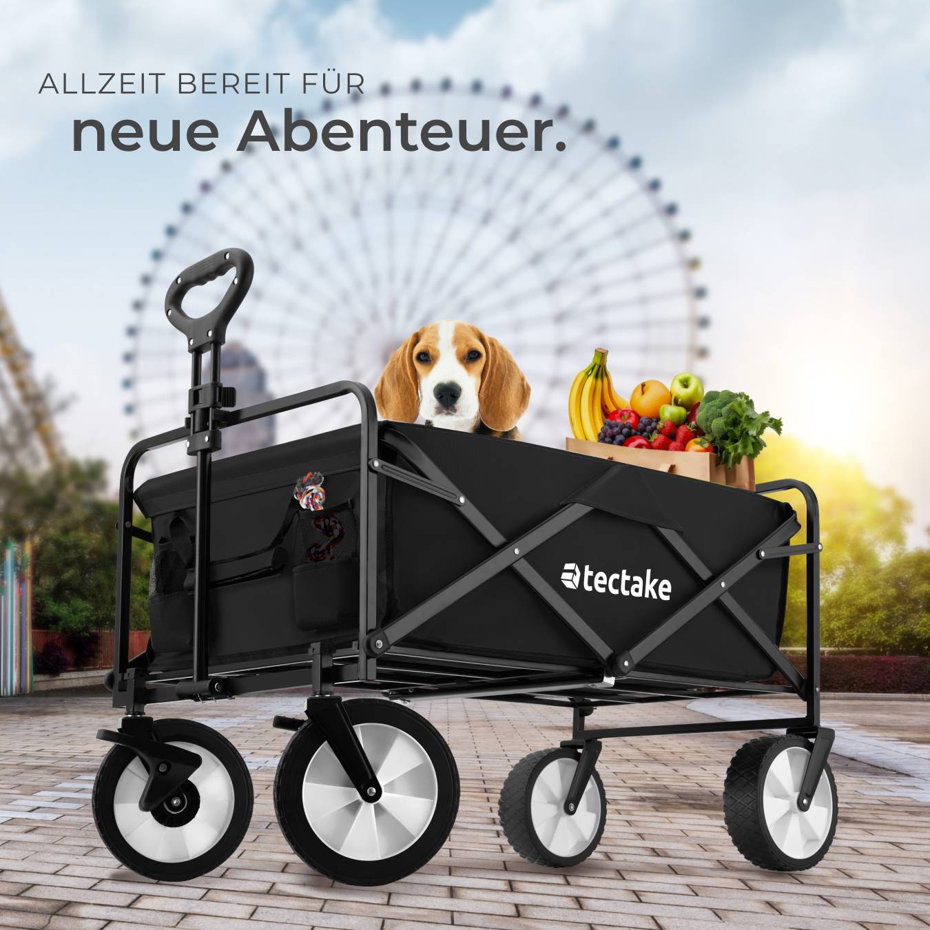 Bollerwagen Leon