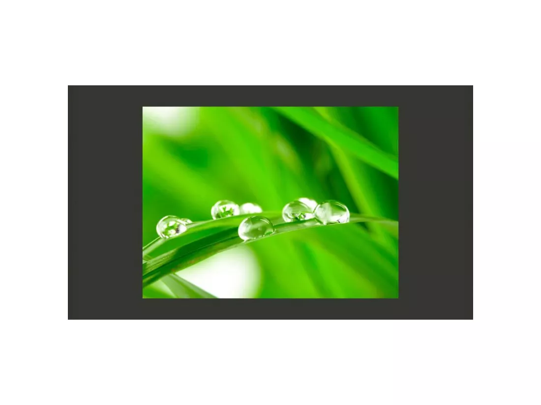 Papier peint gouttes d'eau sur un brin d'herbe - 200 x 154 cm
