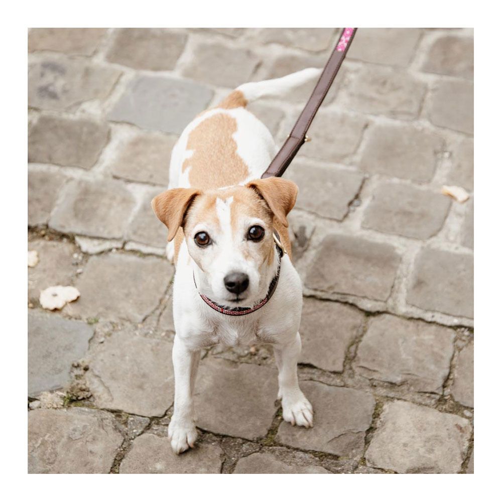 Kentucky PEARLS - Laisse pour chien pink