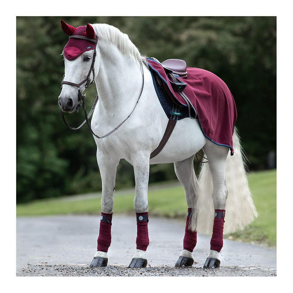 Horseware RAMBO COMP SHEET - Couvre-reins burg/burg/teal/nvy