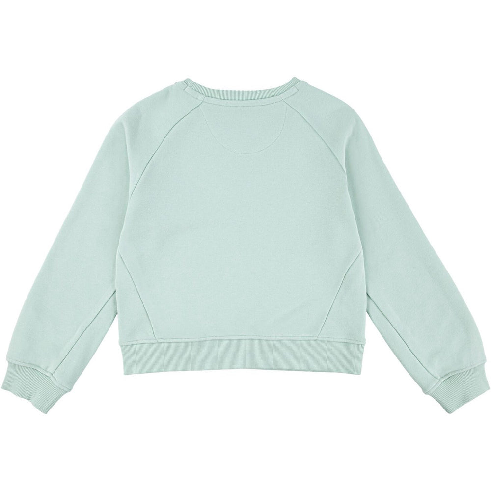 Køb Levi's Celadon Lvg Levis Hd Silicone Batwing Sweatshirt