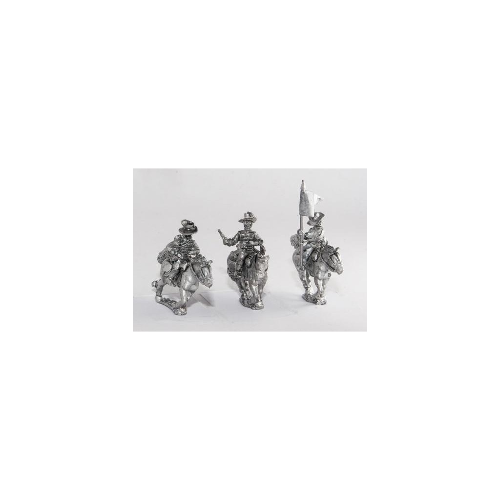 Cavalerie Confédérée : Commandement du 1st Virginia Regiment