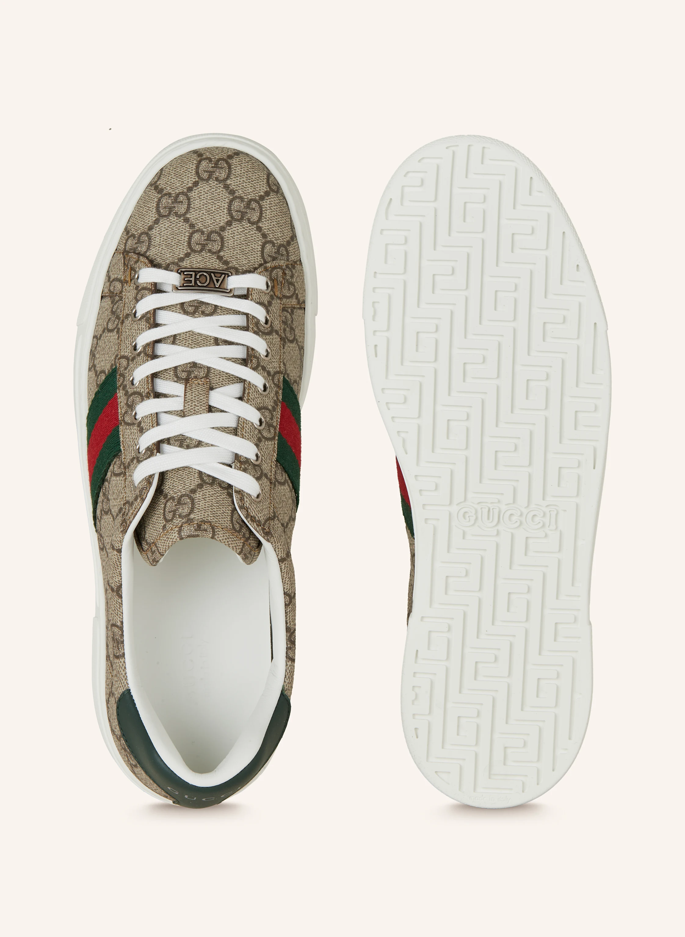 GUCCI Sneaker