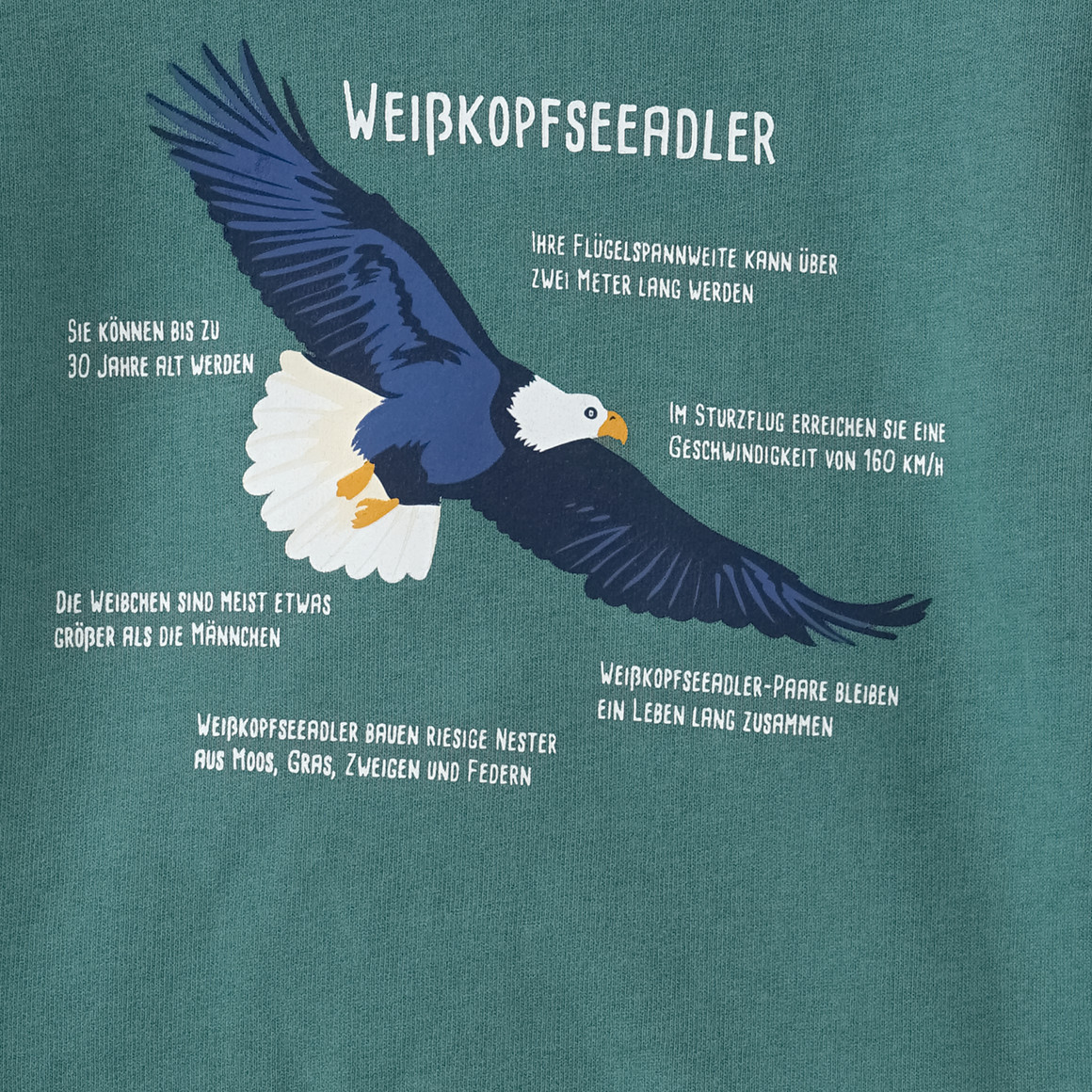 Topolino Kinder Sweatshirt mit Weißkopfseeadler-Motiv dunkelgrün