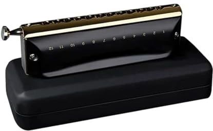 Chromatische Mondharmonica 12 Gaten 48 Toetsen ABS Kam Professioneel Instrument(Sliver Key of G)