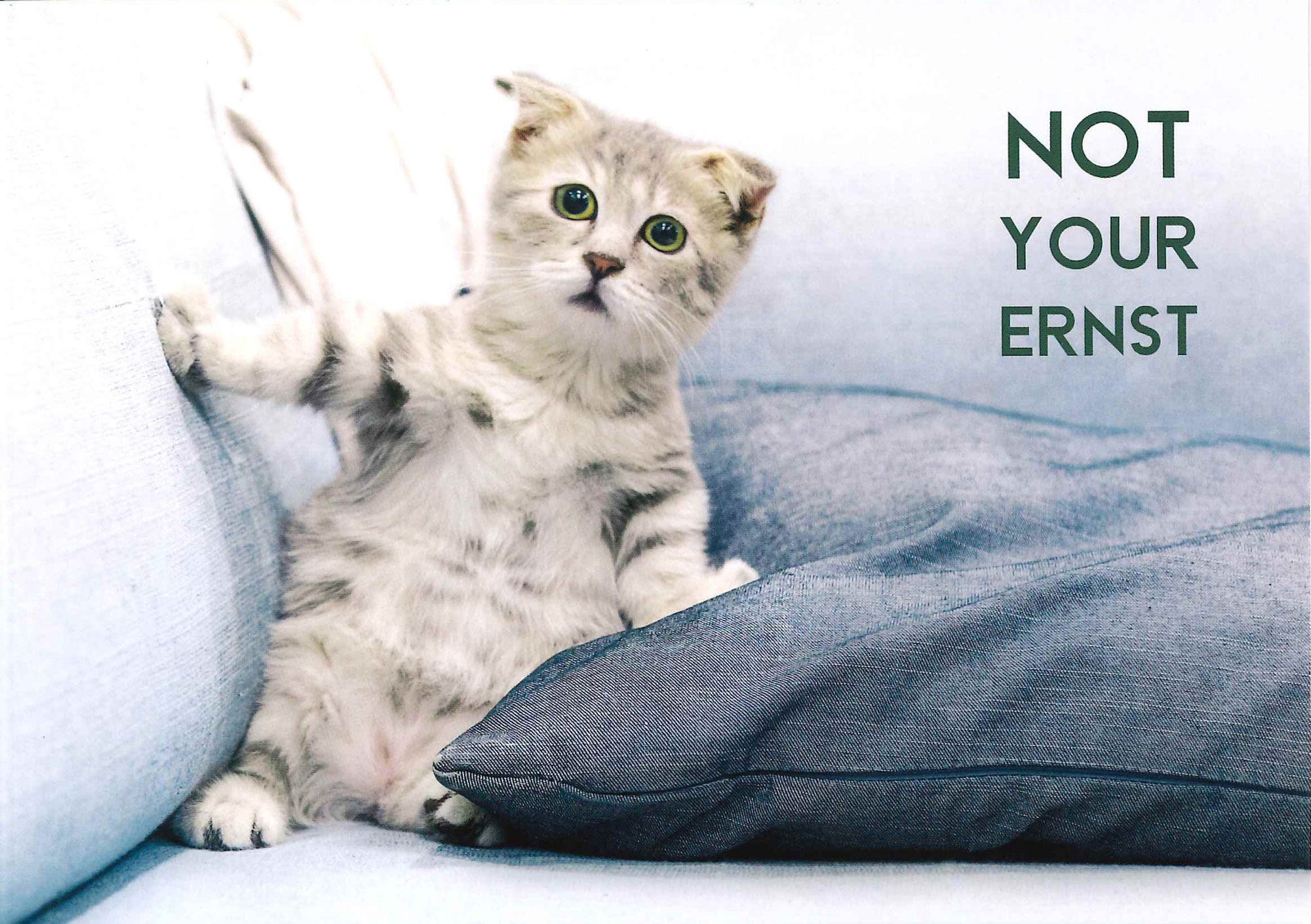 Postkarte 'Your Ernst' günstig bestellen