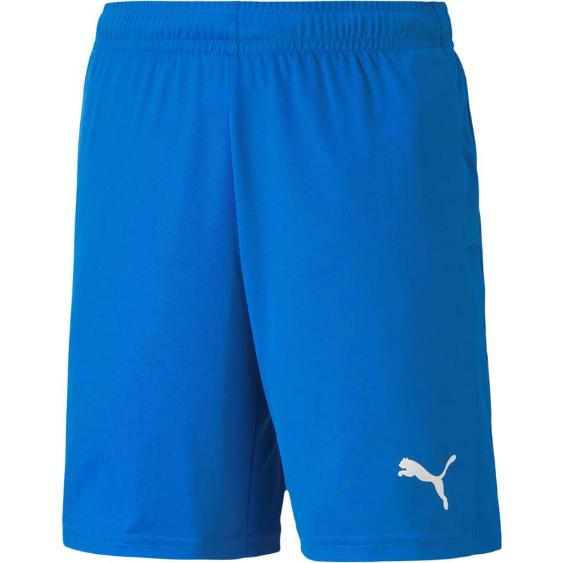 Puma teamGOAL 23 Knit Træningsshorts Børn