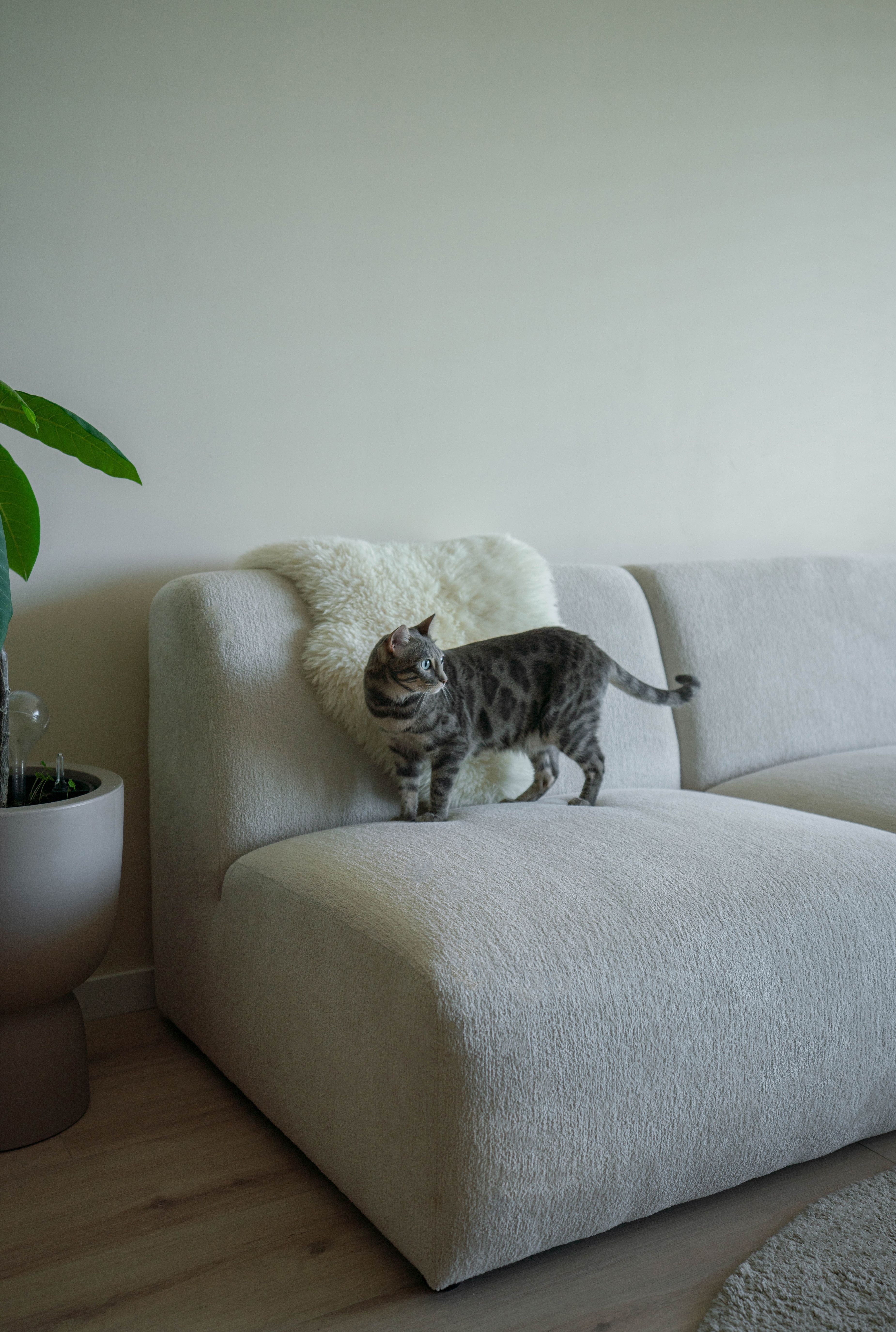 Loungebank Elore