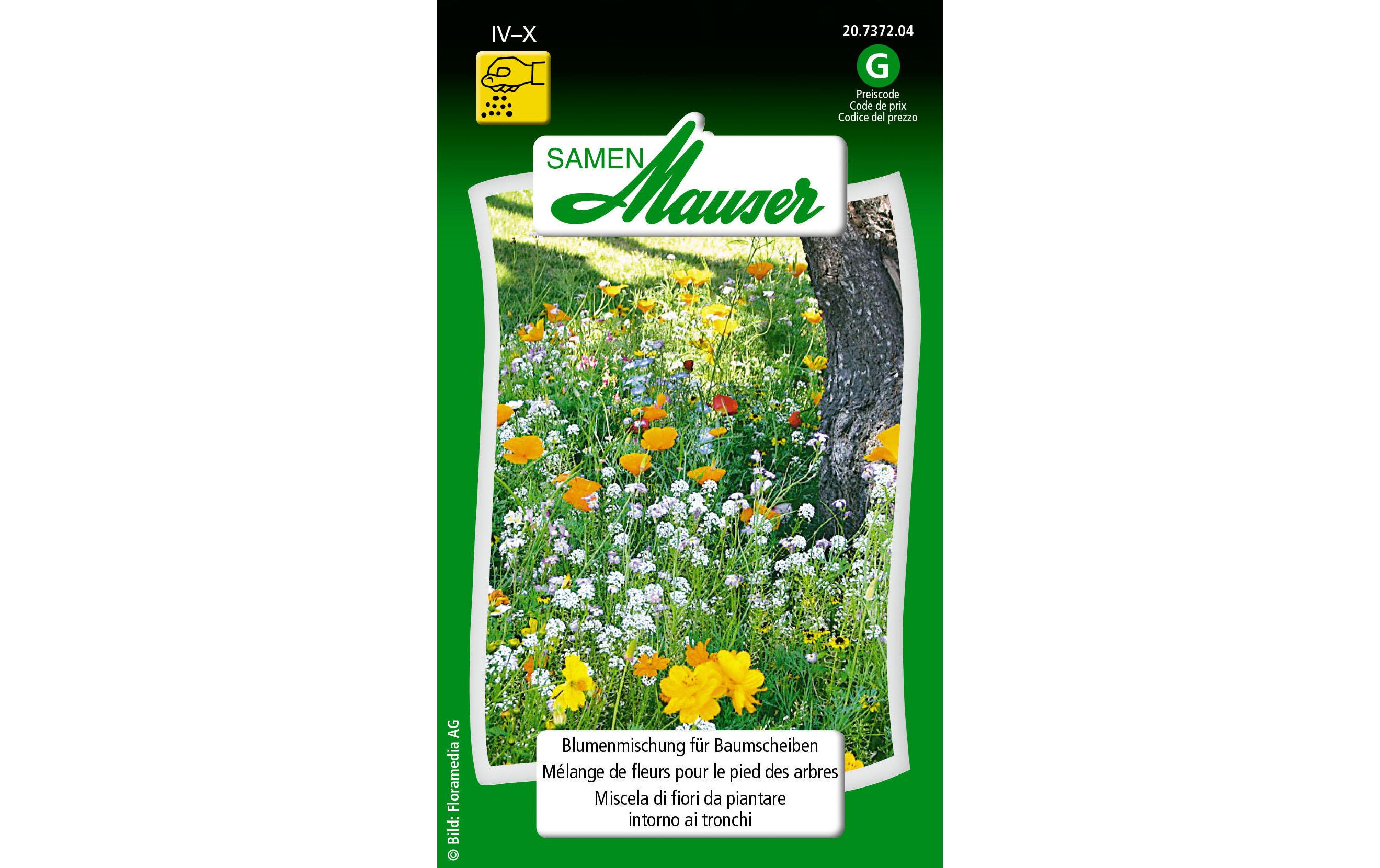 Saatgut Blütensymphonie für BaumscheibenBlumensamen