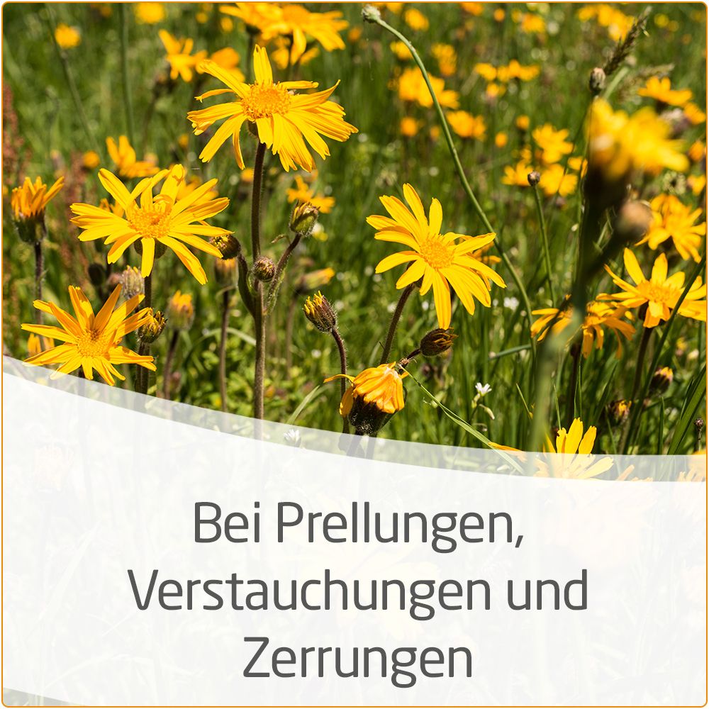 Arnika-Salbe 30% zur wirksamen Behandlung von Prellungen, Hämatomen, Zerrungen und Quetschungen